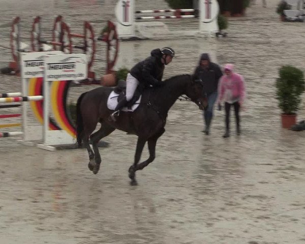 Reitturnier Westergellersen 2022