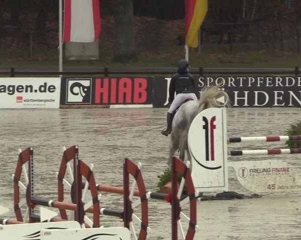 Reitturnier Westergellersen 2022