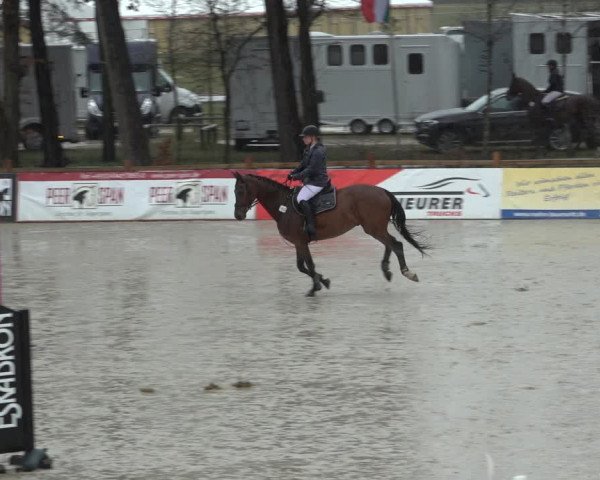 Reitturnier Westergellersen 2022