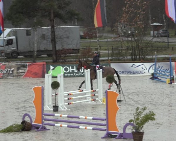 Reitturnier Westergellersen 2022