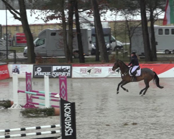 Reitturnier Westergellersen 2022