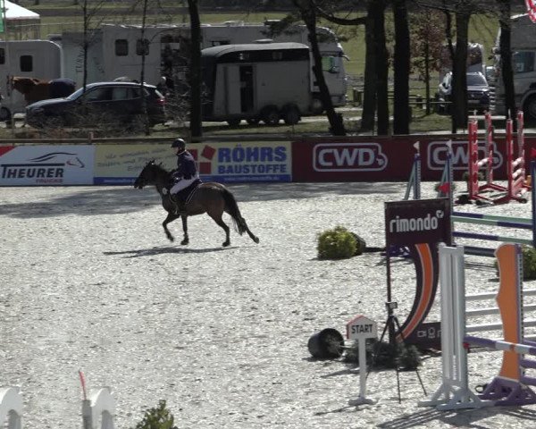 Reitturnier Westergellersen 2022