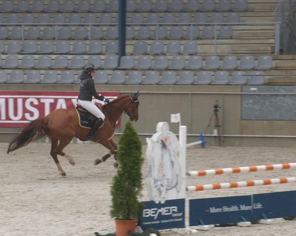 Reitturnier Aachen-Soers 2022