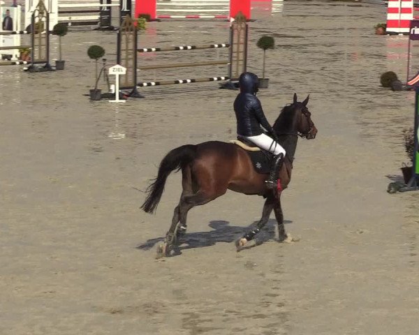 Reitturnier Westergellersen 2022