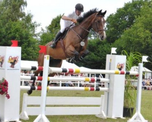 jumper Quartermain 3 (Holsteiner, 2004, from Quintero)