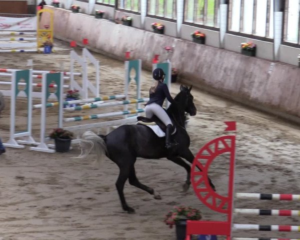 Reitturnier Werne-Lenklar 2022