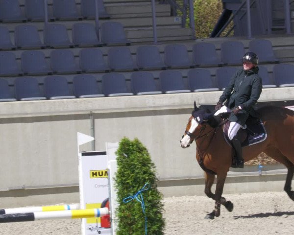 Reitturnier Aachen-Soers 2022