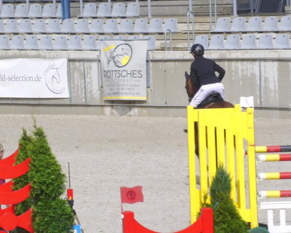 Reitturnier Aachen-Soers 2022