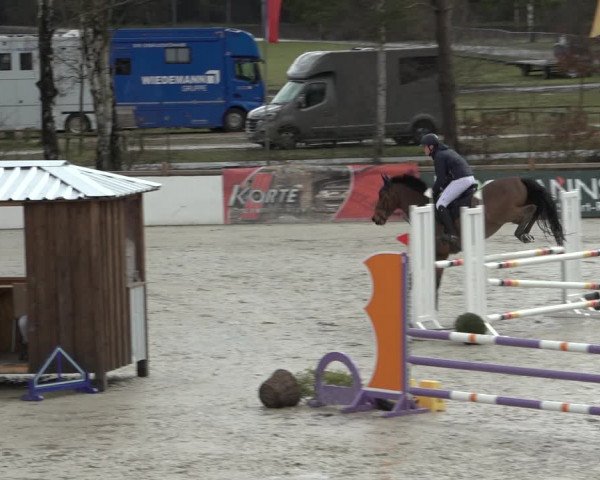 Reitturnier Westergellersen 2022