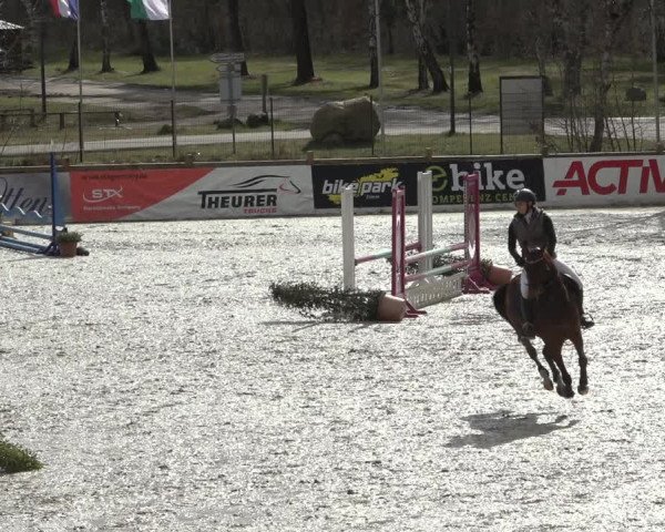 Reitturnier Westergellersen 2022