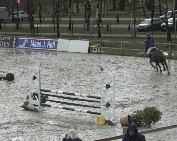 Reitturnier Westergellersen 2022