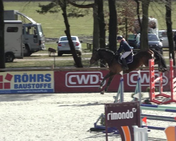 Reitturnier Westergellersen 2022