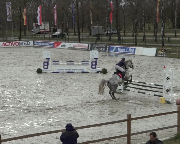 Reitturnier Westergellersen 2022
