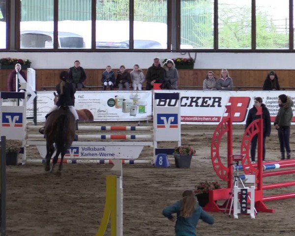 Reitturnier Werne-Lenklar 2022