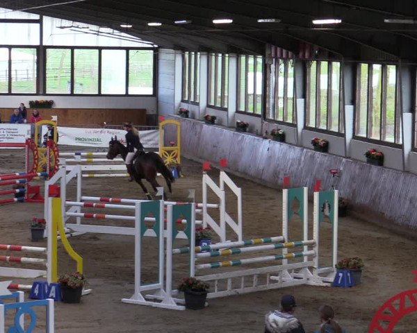 Reitturnier Werne-Lenklar 2022
