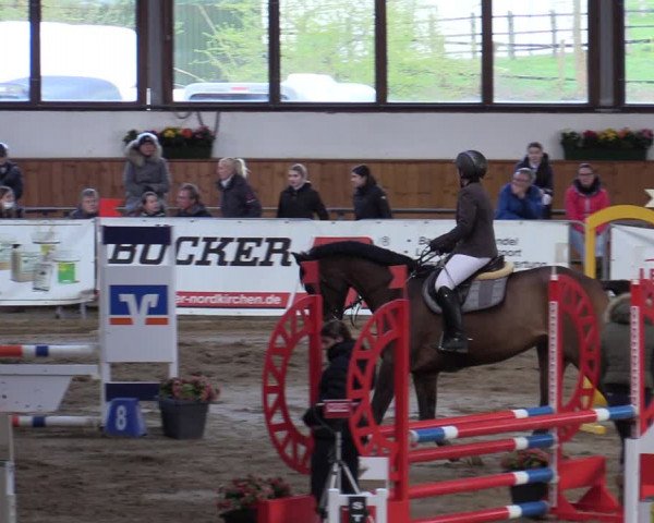 Reitturnier Werne-Lenklar 2022