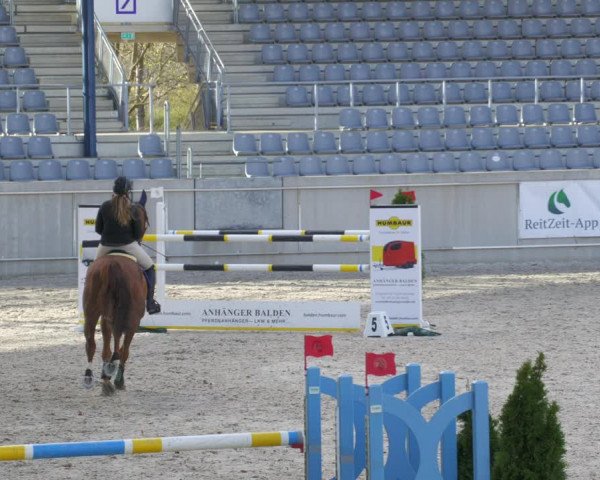 Reitturnier Aachen-Soers 2022