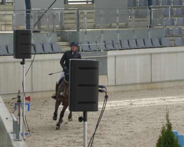 Reitturnier Aachen-Soers 2022