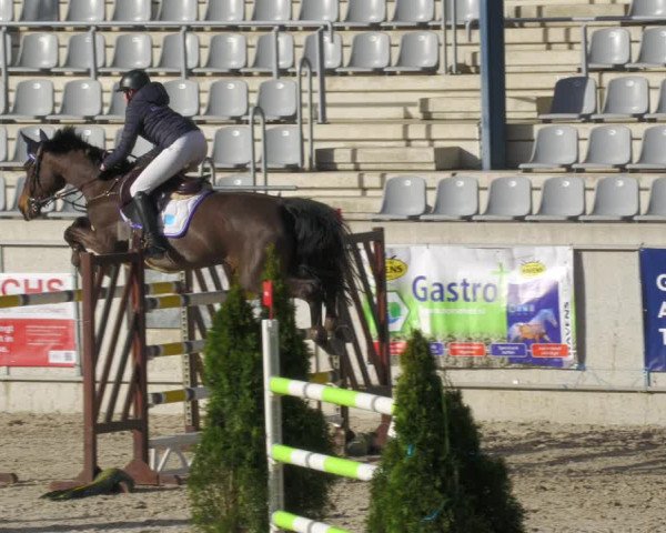 Reitturnier Aachen-Soers 2022