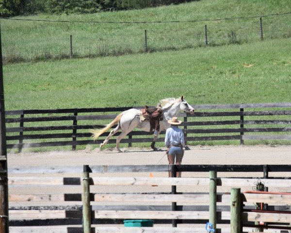 broodmare Roan Rivers xx (Thoroughbred, 2015, from El Romeo xx)