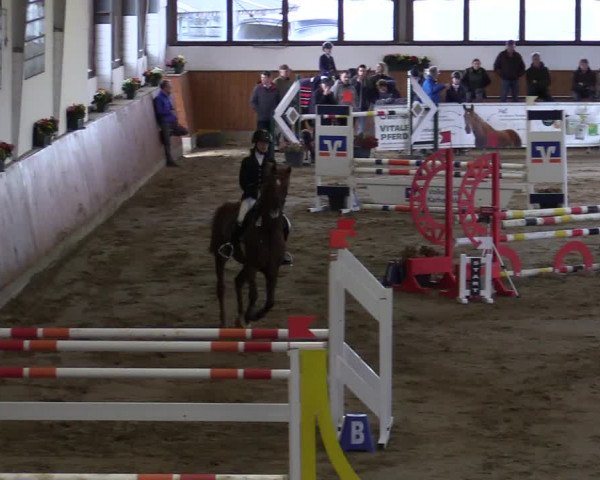 Lenklarer Reitertage 2022 (Werne)