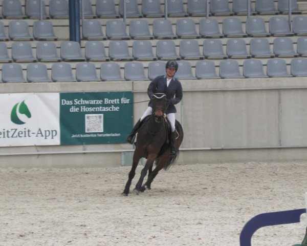 Reitturnier Aachen-Soers 2022