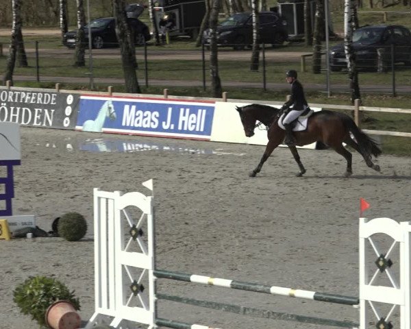 Reitturnier Westergellersen 2022