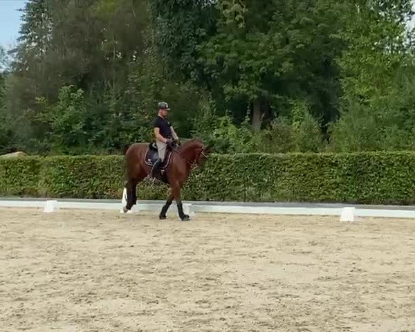 Video von Damons Davian