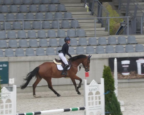 Reitturnier Aachen-Soers 2022
