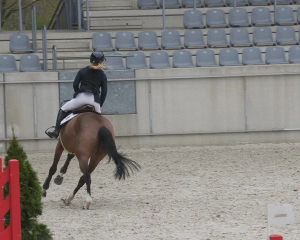 Reitturnier Aachen-Soers 2022