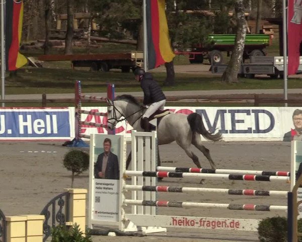 Reitturnier Westergellersen 2022