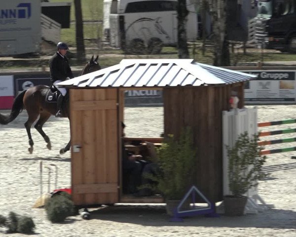 Reitturnier Westergellersen 2022