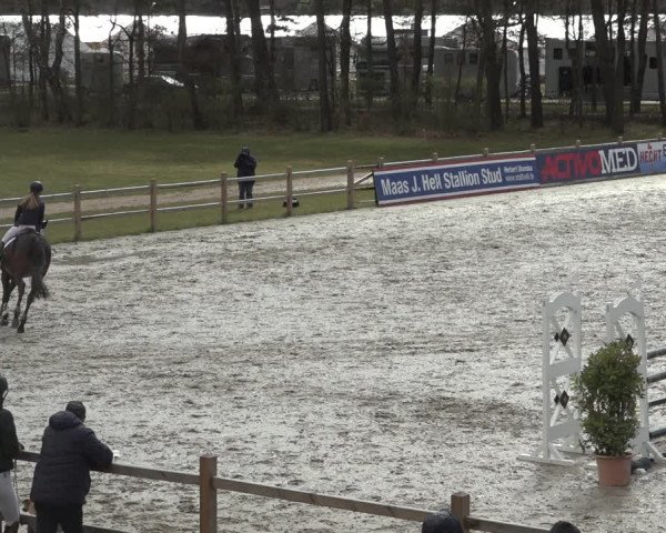 Reitturnier Westergellersen 2022