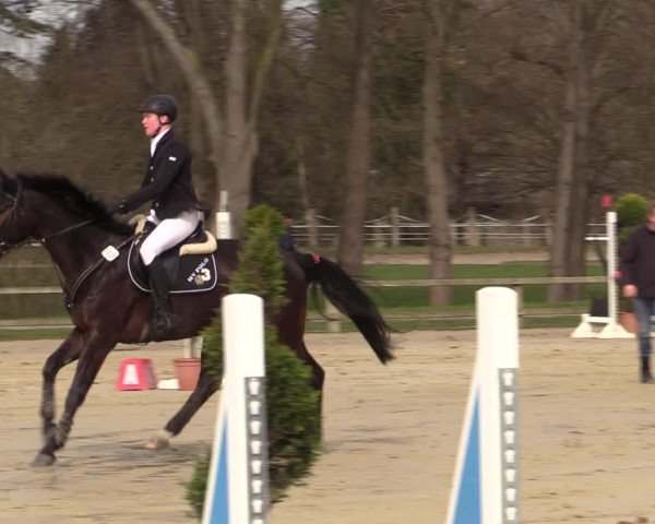 Reitturnier Münster-Handorf | Late Entry 2022