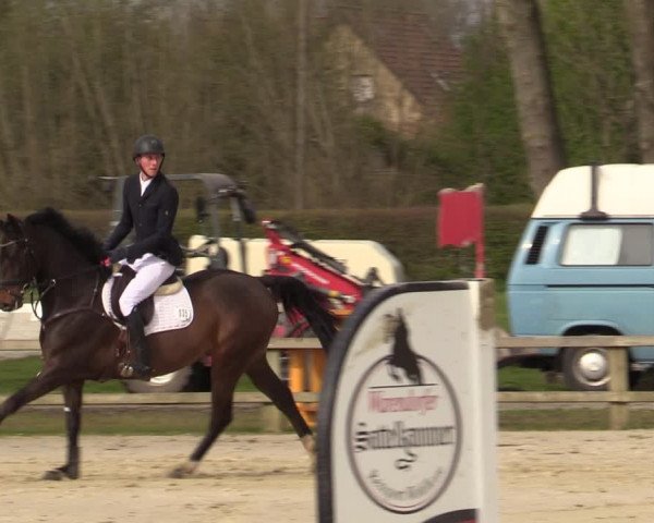 Reitturnier Münster-Handorf | Late Entry 2022