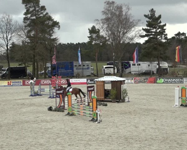 Reitturnier Westergellersen 2022