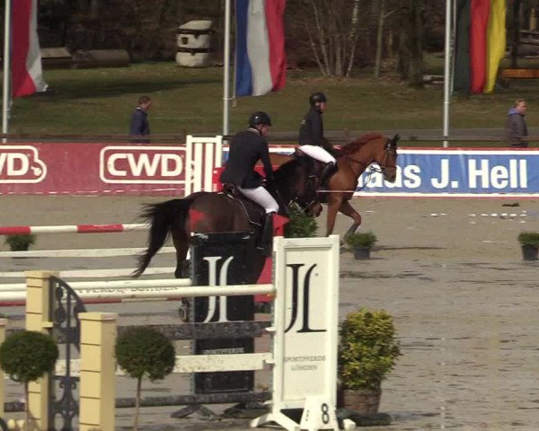 Reitturnier Westergellersen 2022