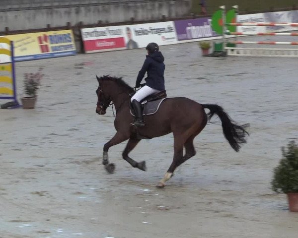 Reitturnier Westergellersen 2022