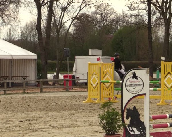 Reitturnier Münster-Handorf | Late Entry 2022