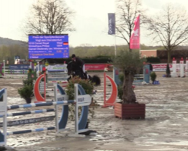 Lenklarer Reitertage 2022 (Werne)