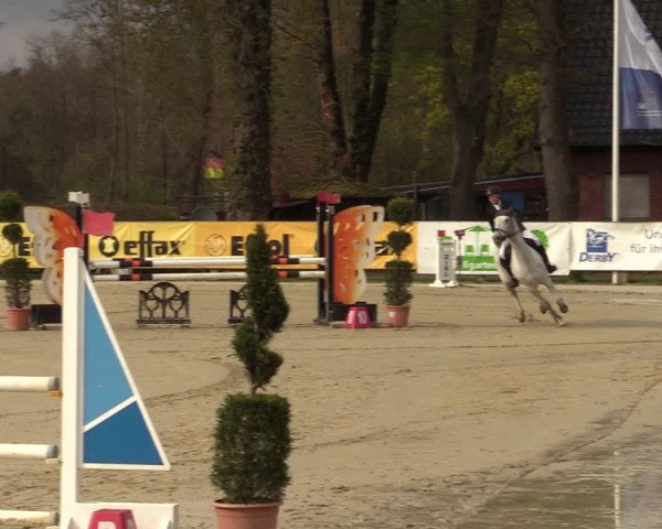 Reitturnier Münster-Handorf | Late Entry 2022