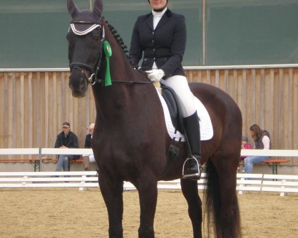 dressage horse Lord-Royal (Bavarian, 1991, from Louis J)