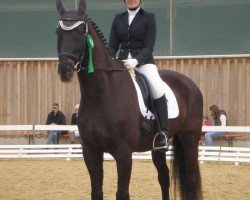 dressage horse Lord-Royal (Bavarian, 1991, from Louis J)