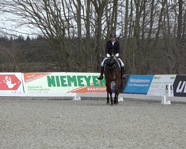Reitturnier Elmlohe 2022