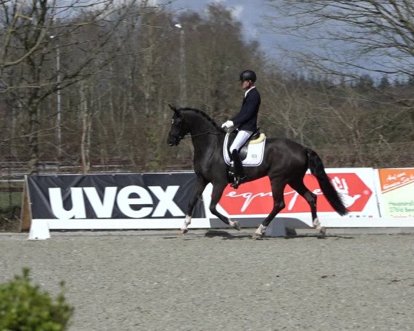 Reitturnier Elmlohe 2022