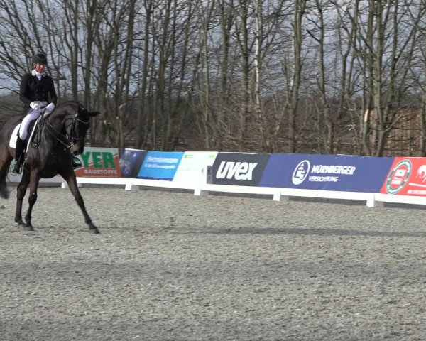 Reitturnier Elmlohe 2022