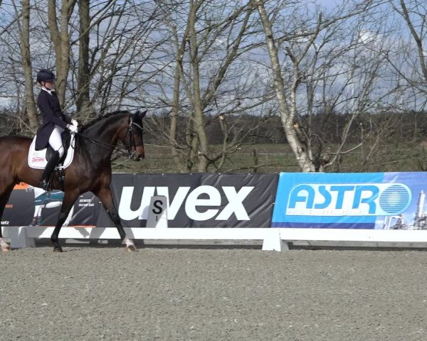 Reitturnier Elmlohe 2022