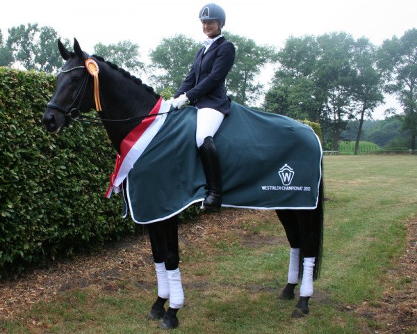 stallion Rocky Lee (Westphalian, 2007, from Rock Forever NRW)