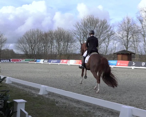 Reitturnier Elmlohe 2022