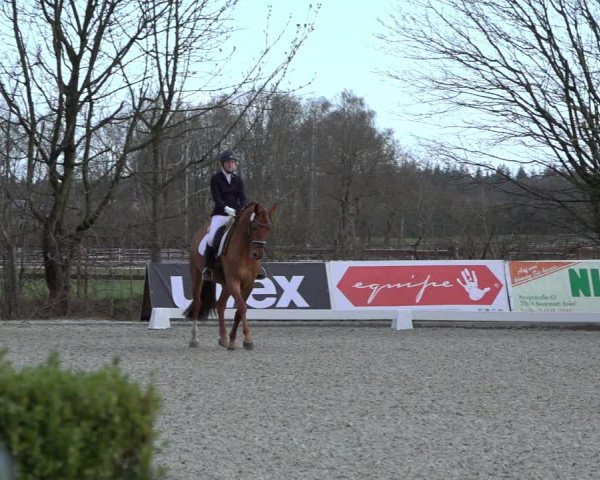 Reitturnier Elmlohe 2022